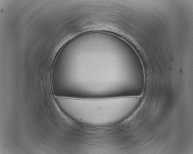 X0000063471513200601200942