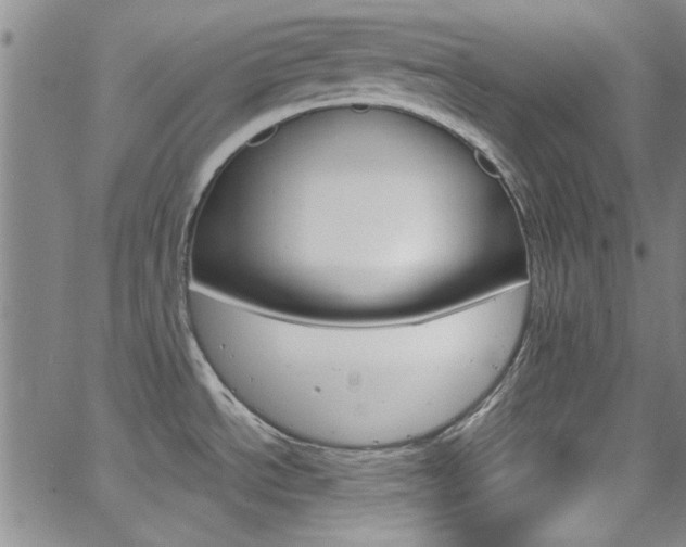 X0000063471534200601200942