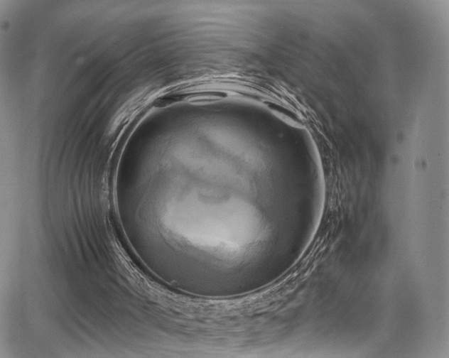 X0000063470002200601201323
