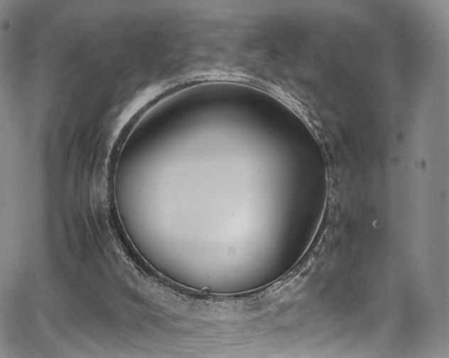 X0000063470008200601201323
