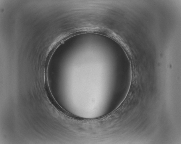X0000063470011200601201322