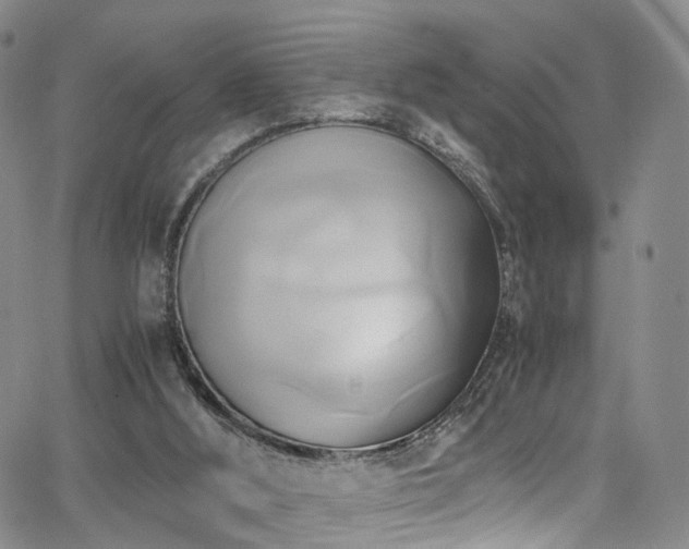 X0000063470012200601201322