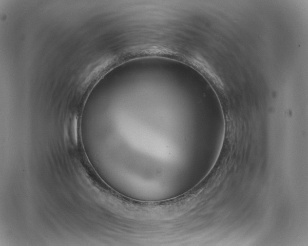 X0000063470014200601201322