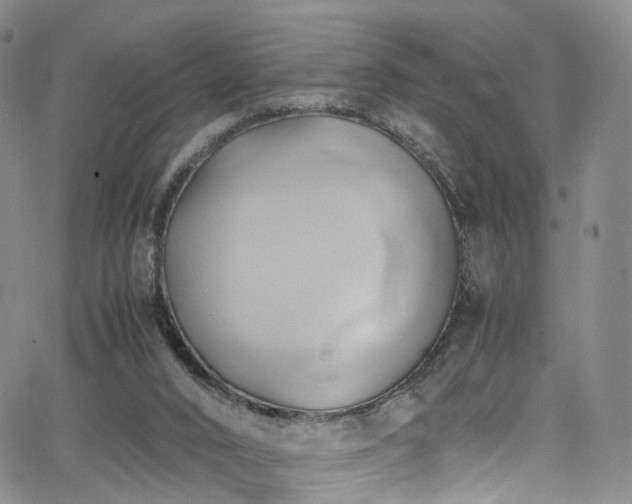 X0000063470016200601201322