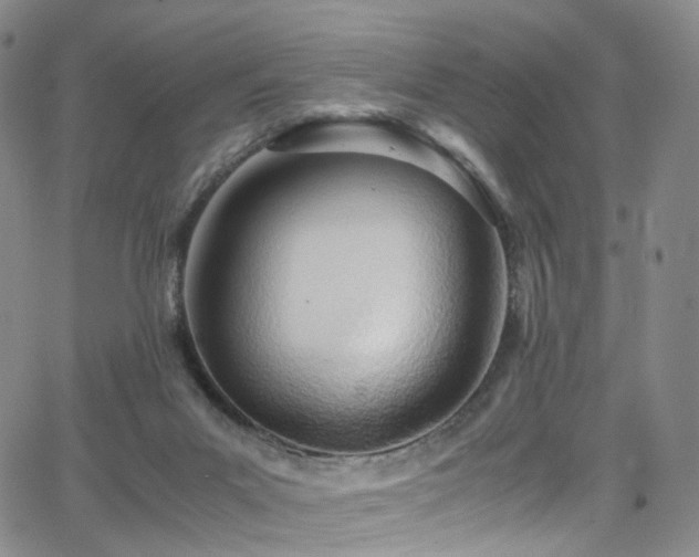 X0000063470023200601201322