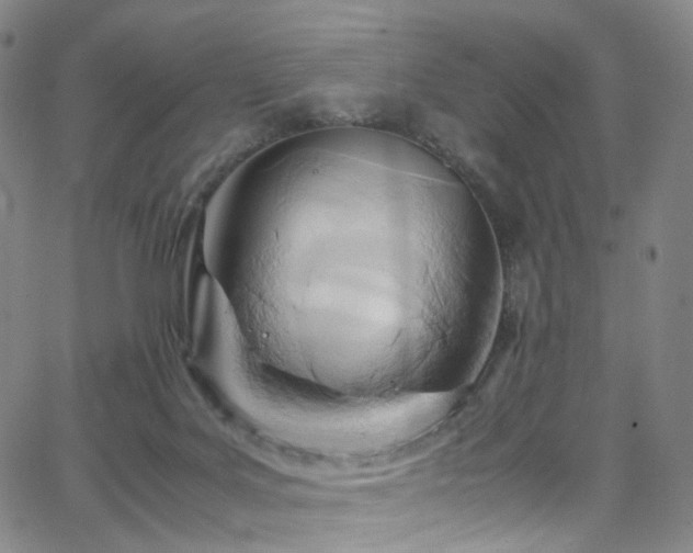 X0000063470027200601201322