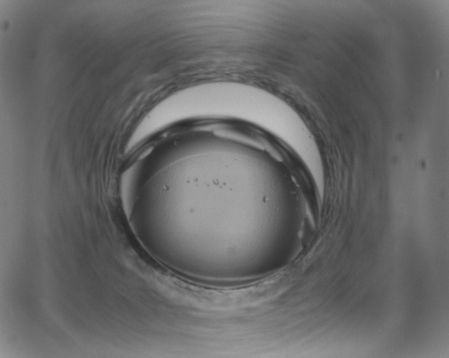 X0000063470035200601201322