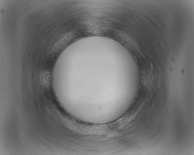 X0000063470036200601201322