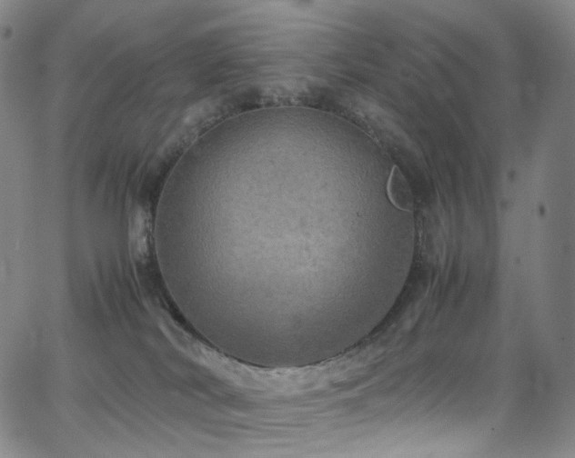 X0000063470038200601201322