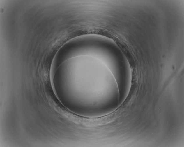 X0000063470039200601201322