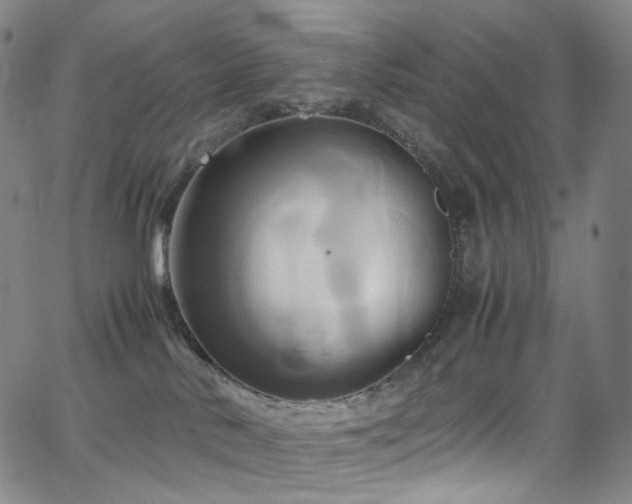 X0000063470042200601201322