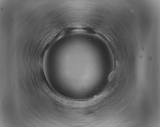 X0000063470048200601201322