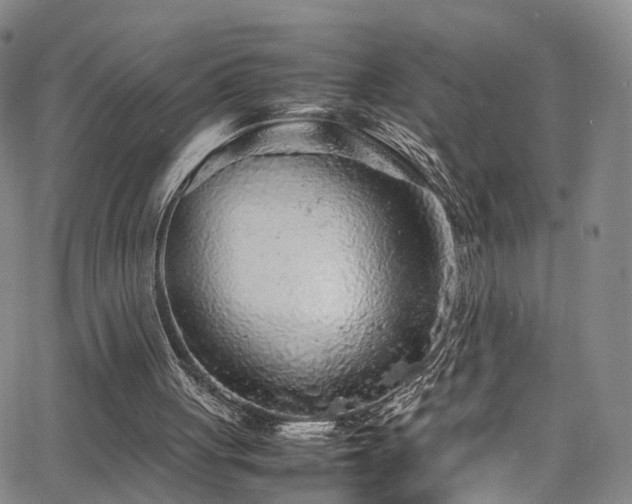 X0000063470051200601201321