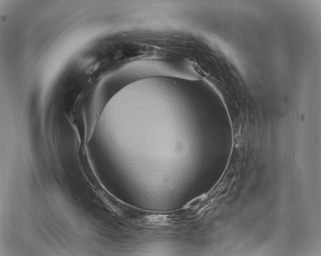X0000063470052200601201321