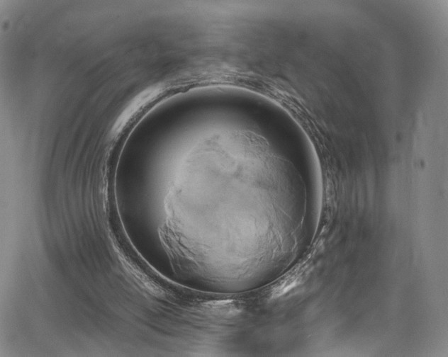 X0000063470054200601201321