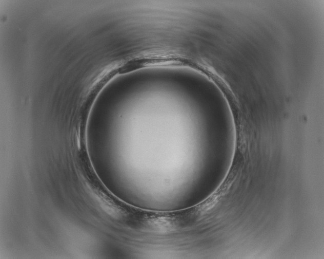 X0000063470062200601201321