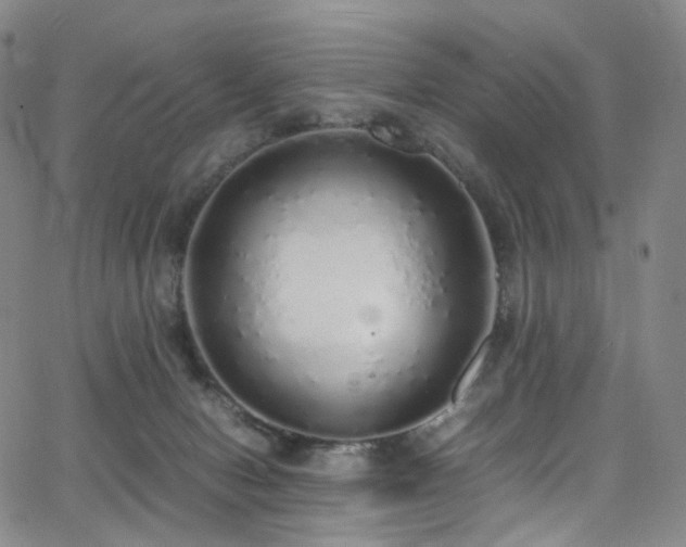 X0000063470078200601201322