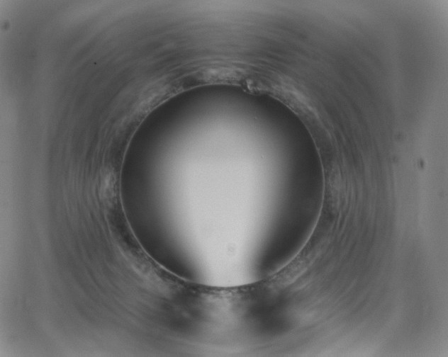 X0000063470079200601201322