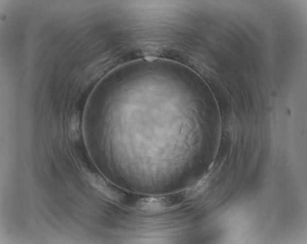 X0000063470082200601201322