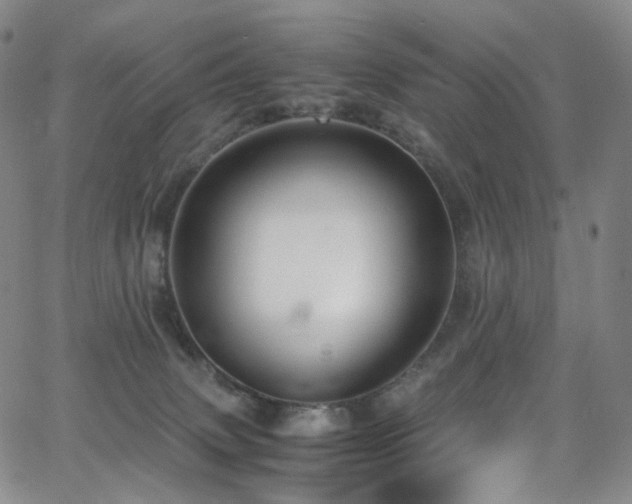 X0000063470083200601201322