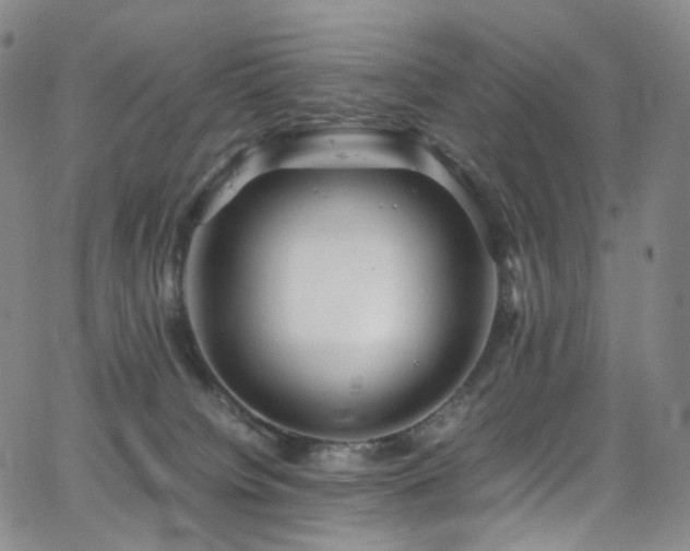 X0000063470084200601201322