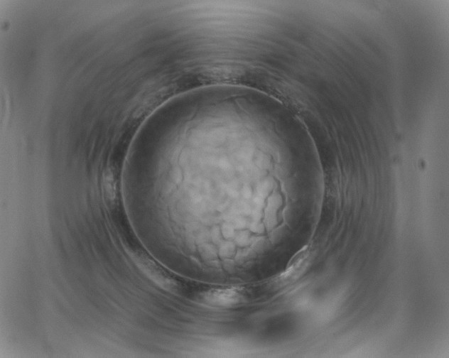 X0000063470086200601201322