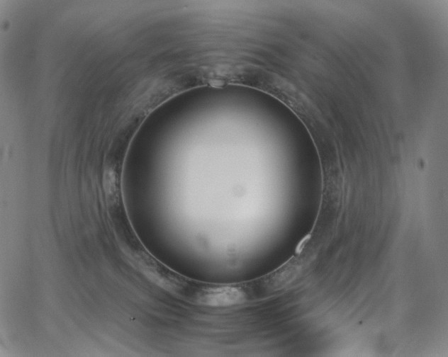 X0000063470087200601201322
