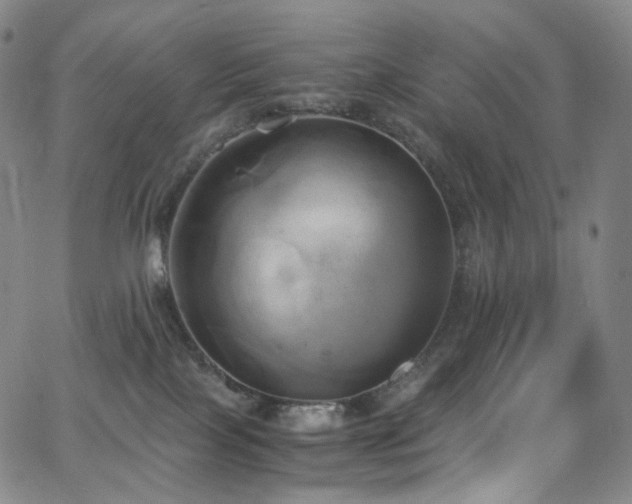 X0000063470089200601201322