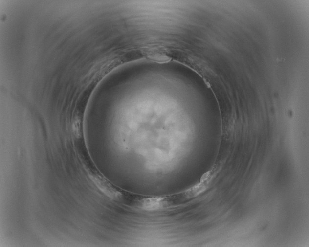 X0000063470090200601201322