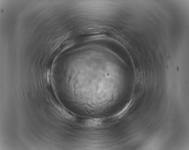 X0000063470094200601201322