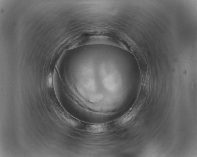 X0000063470095200601201322