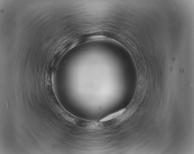 X0000063470096200601201322