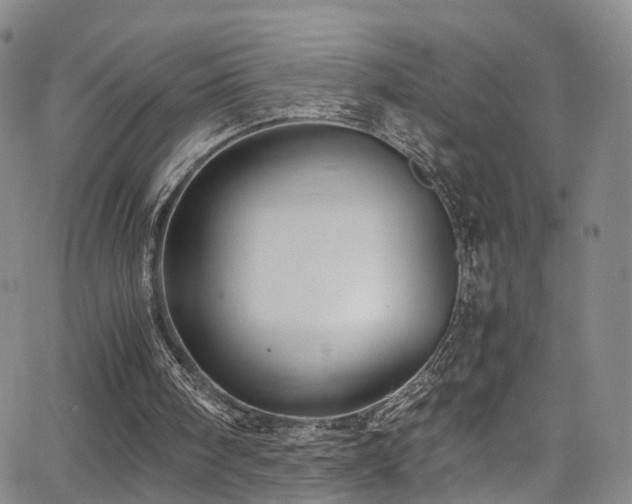 X0000063470098200601201321