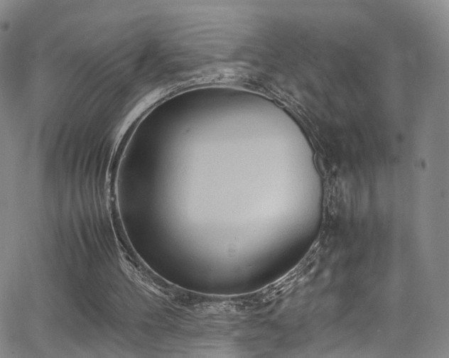 X0000063470100200601201321