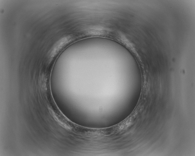 X0000063470106200601201321