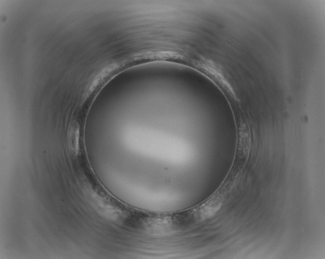 X0000063470110200601201321