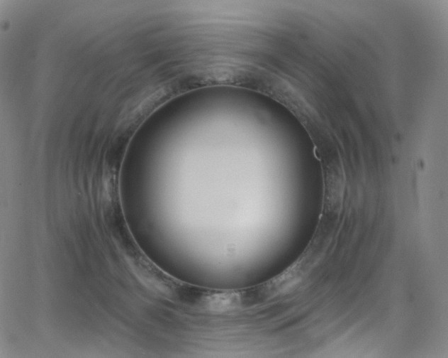 X0000063470126200601201321