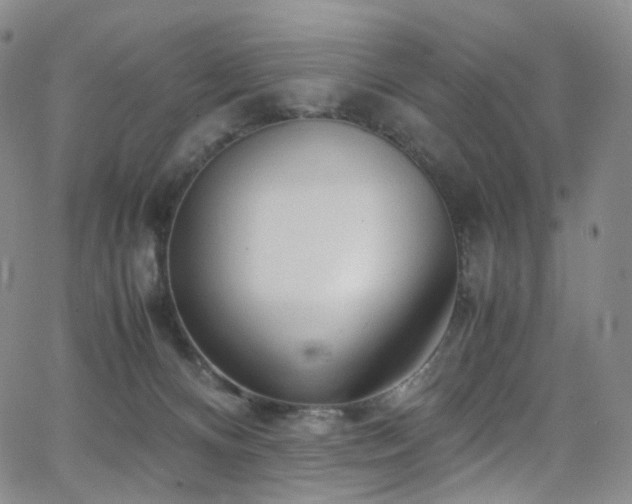 X0000063470128200601201321