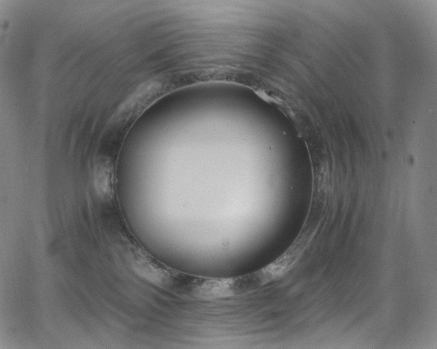 X0000063470138200601201320