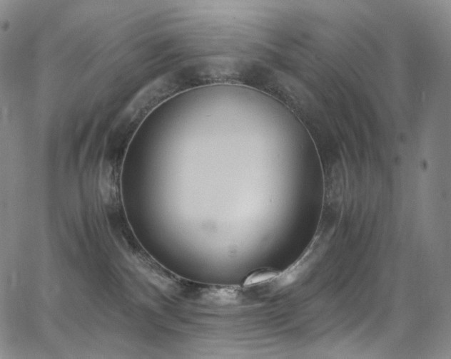 X0000063470140200601201320