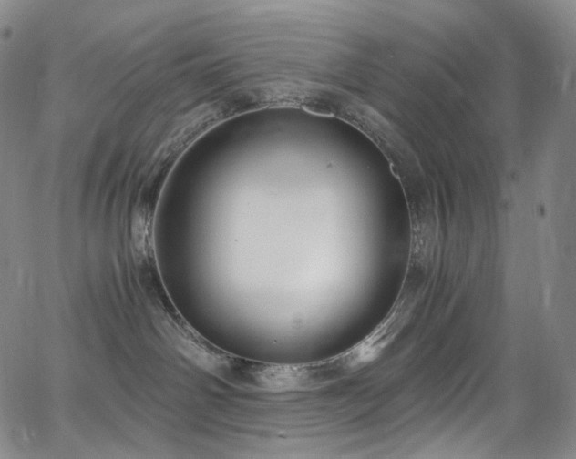 X0000063470142200601201320