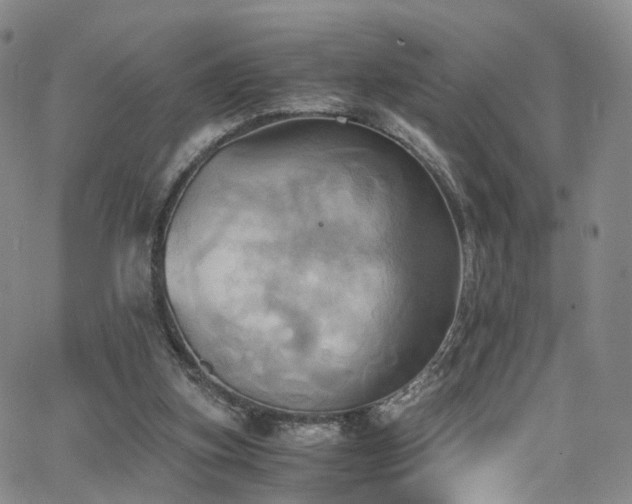 X0000063470155200601201320