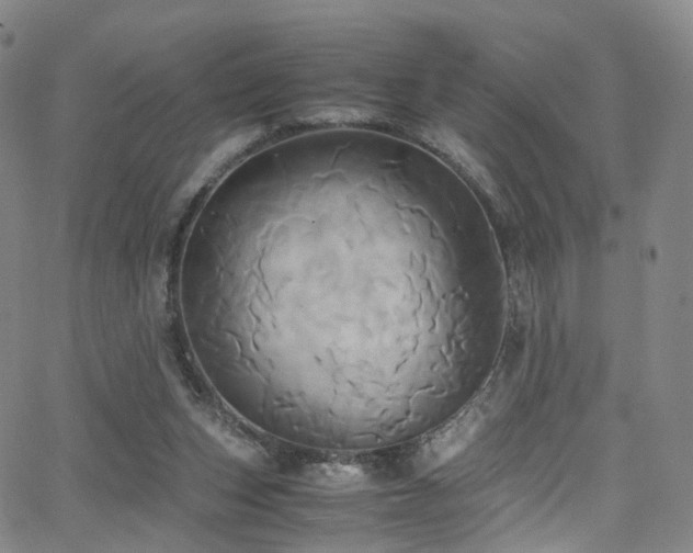 X0000063470159200601201320