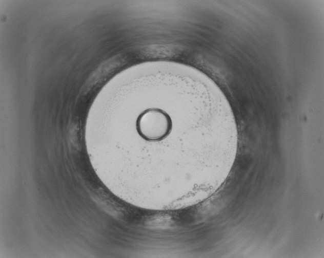 X0000063470162200601201320