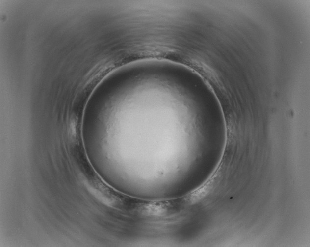 X0000063470166200601201320