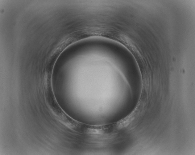X0000063470167200601201320