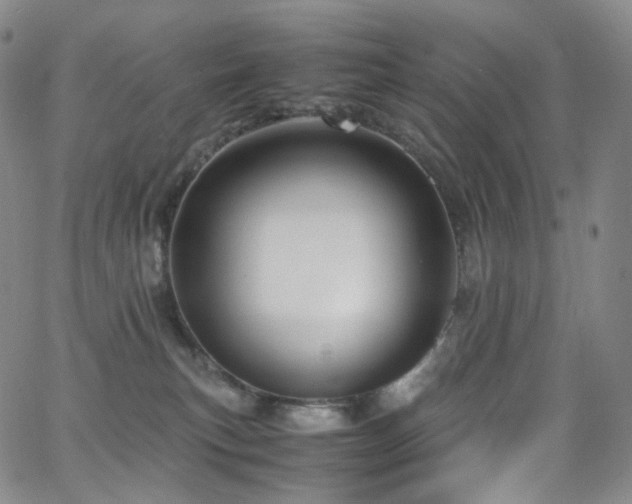 X0000063470183200601201320