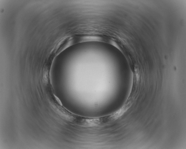 X0000063470188200601201320