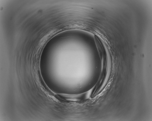 X0000063470193200601201319