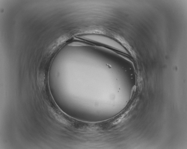 X0000063470201200601201319